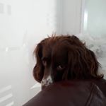 Jimmy Degrande - Instagram Profile Picture of Jimmy Degrande (@degrande.jimmy) on Instagram