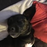 Profile Picture of Lara Carney (@lara_carney) on Instagram