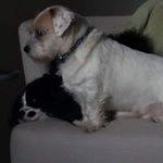Profile Picture of Steven Truman (@steven.truman.37) on Instagram