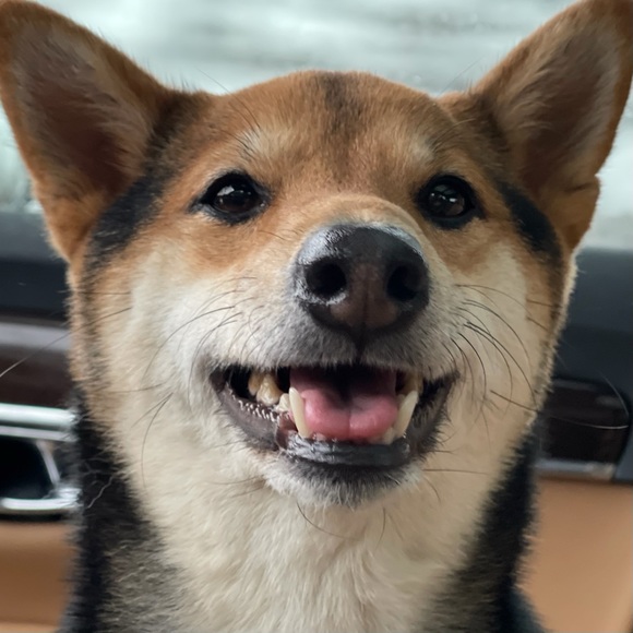 Profile Picture of Jared Brunelle (@brunelley) on Poshmark