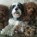 Profile Picture of Michelle McQuade (@michelle.mcquade.9047) on Facebook
