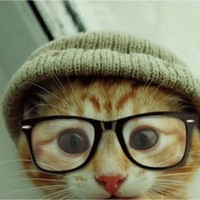 Kody Allen - Quora Profile Picture of Kody Allen (@kody-allen-15) on Quora