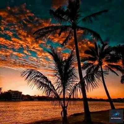 Profile Picture of Saul Jacobs (@sauljacobs8) on Twitter