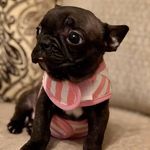 Cindy Gallagher - Instagram Profile Picture of Cindy Gallagher (@magoobeanwho) on Instagram