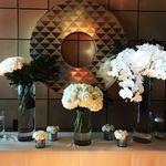 Profile Picture of 🌹Abbott Florist🌹Miami Beach (@abbottfloristmiamibeach) on Instagram