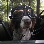 Profile Picture of James Moverley (@moverleysurfs) on Flickr