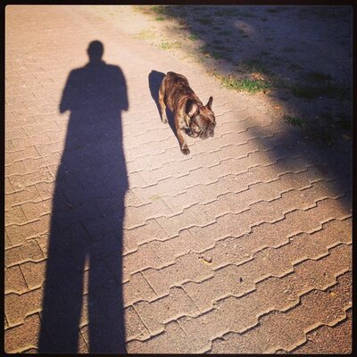 Profile Picture of Alexander Schott (@alexschottfra) on Twitter