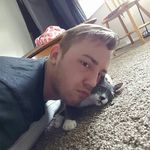 Profile Picture of peter sonneman (@peter_allen_art) on Instagram