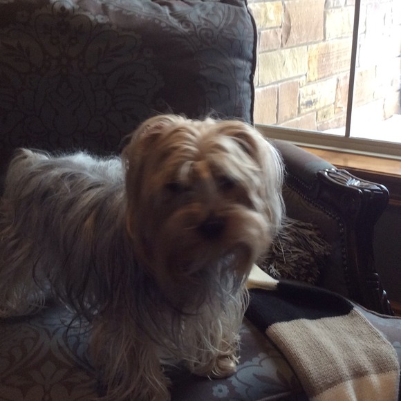 Profile Picture of Kellie Hull (@airlinehouse) on Poshmark