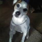 Profile Picture of Cindy Mattila (@cindy.mattila.941465) on Facebook