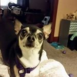 Profile Picture of kim lesko (@leskokim) on Instagram