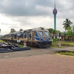 Profile Picture of Rumeth  Punchihewa (@bihandpunchihewa123) on Flickr