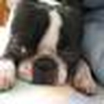 Profile Picture of Darkness1 (@darkness1) on Flickr