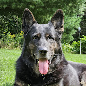 Profile Picture of Mike Mason (@mikemason22) on Youtube