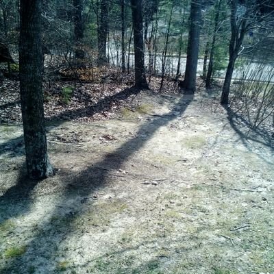 Profile Picture of Lillylilly (@MichelleLaber4) on Twitter