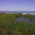 Profile Picture of Ian Sword (@iansword) on Instagram