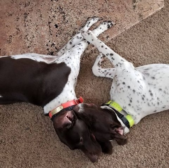 Profile Picture of Carol Stempien (@carolstempien) on Poshmark