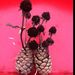 Profile Picture of Danielle Emma (@danielleemma79) on Pinterest