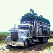 Profile Picture of Jose Limas (@joselimas1180) on Youtube