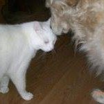 Joyce Hohner - Instagram Profile Picture of Joyce Hohner (@hohnerjoyce) on Instagram