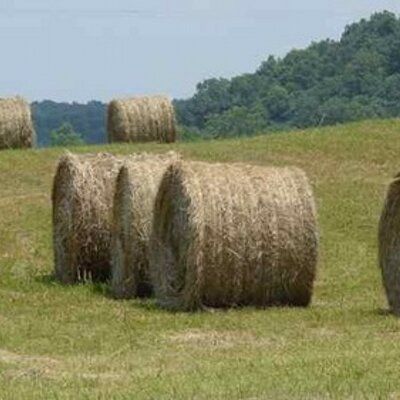 Profile Picture of Vanleer, Tennessee (@VanleerTN) on Twitter