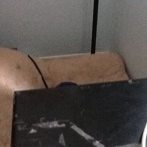 Profile Picture of Tyler Irving (@drtylerirving) on Myspace