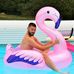 Profile Picture of Josh Cuffe (@josh.cuffe.3) on Facebook