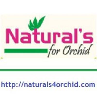 Profile Picture of Naturals4Orchid (@AshokKrishnan6) on Twitter