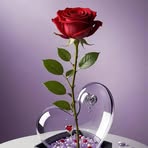 Profile Picture of Jessica Quintero (@jessica.quintero.235846) on Facebook