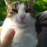 Profile Picture of Matas Jarušauskas (@matasjarusauskas) on Instagram