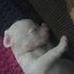 Profile Picture of Jessé Gessner (@jesse.gessner.3) on Facebook