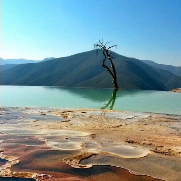 Profile Picture of Mariela Serrano (@nadia0707) on Poshmark