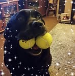 Eileen Cairns - Facebook Profile Picture of Eileen Cairns (@eileen.cairns.73) on Facebook