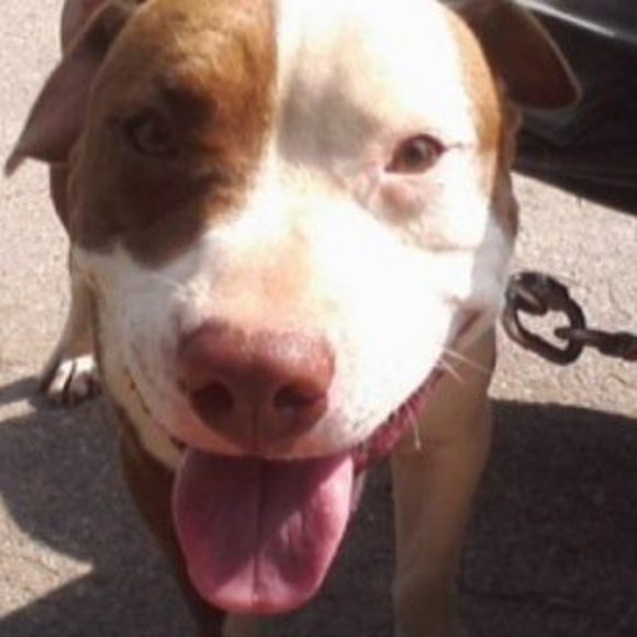 Profile Picture of Jeremy Flack (@jeremyflack) on Poshmark