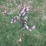 Profile Picture of Kyle Brandt-Lubart (@tiny_postcards) on Instagram