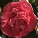 Profile Picture of Nancy Denson (@nancy.denson.545) on Facebook