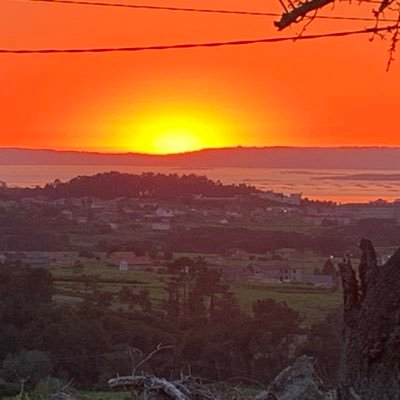 Profile Picture of Roy Cora (@Rodrigo91210191) on Twitter