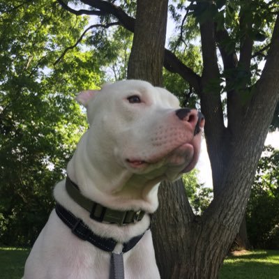 Profile Picture of JOSEPH TANNER (@JOSEPHT16686308) on Twitter