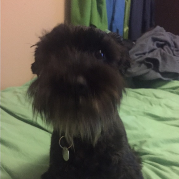 Profile Picture of Joshua Wrzesinski (@jwrzesinski) on Poshmark