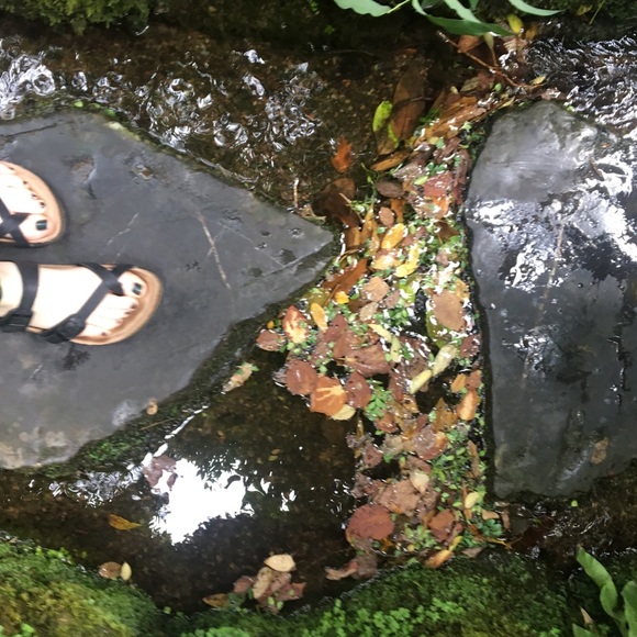 Profile Picture of Eiley Mawhinney (@eiley_mawhinney) on Poshmark