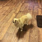 Profile Picture of Alberta Goodman (@alberta.goodman.965) on Instagram