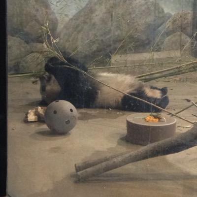 Bob Gerber - Twitter Profile Picture of Bob Gerber (@BobGerber3) on Twitter