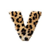 Profile Picture of Vanessa Aguilar (@vanessaaguilar7080) on Youtube