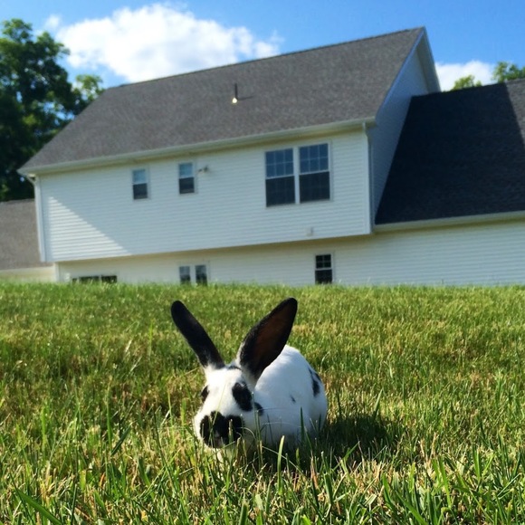 Profile Picture of Miranda Mccarthy (@mirandam2002) on Poshmark