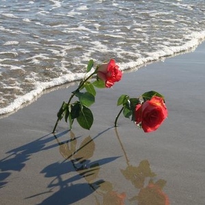 Profile Picture of Joyce Nolan (@440669977) on Myspace