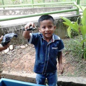 Profile Picture of Wilfredo Manuel (@Wilfred49486902) on Twitter