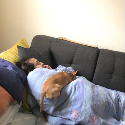 Profile Picture of Jovanovic Dragoslav (@JovanovicDrago3) on Twitter