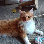 Profile Picture of Christopher Cain Crosby (@christophercrosby53) on Instagram