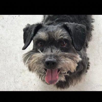 Profile Picture of Luis Wong (@chorycaldewong) on Twitter