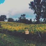 Profile Picture of Jamie Perrin (@jaamieperrin) on Instagram